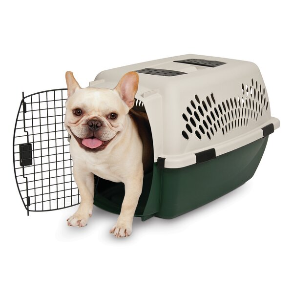 Metal dog outlet carrier